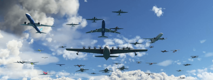 Flight sim