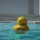 One of the best-reviewed games on Steam is about watching plastic ducks