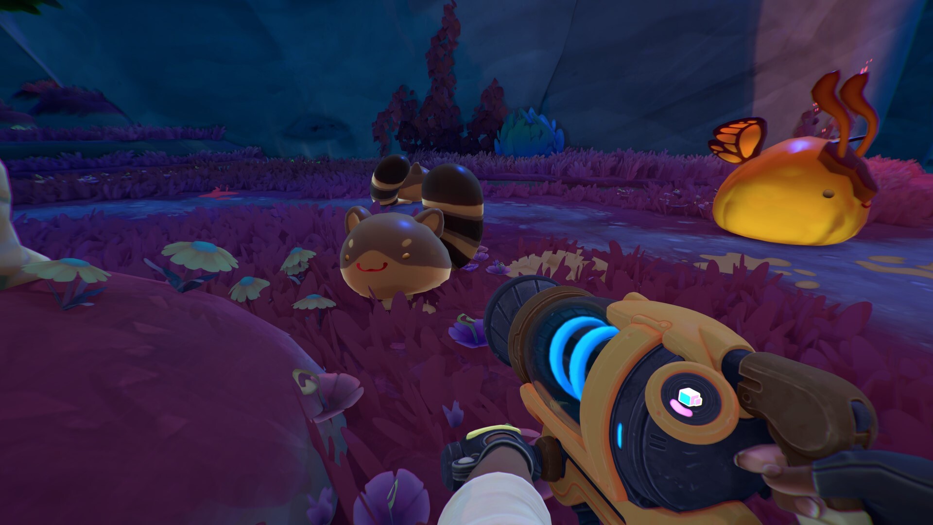 ringtail slime rancher 2