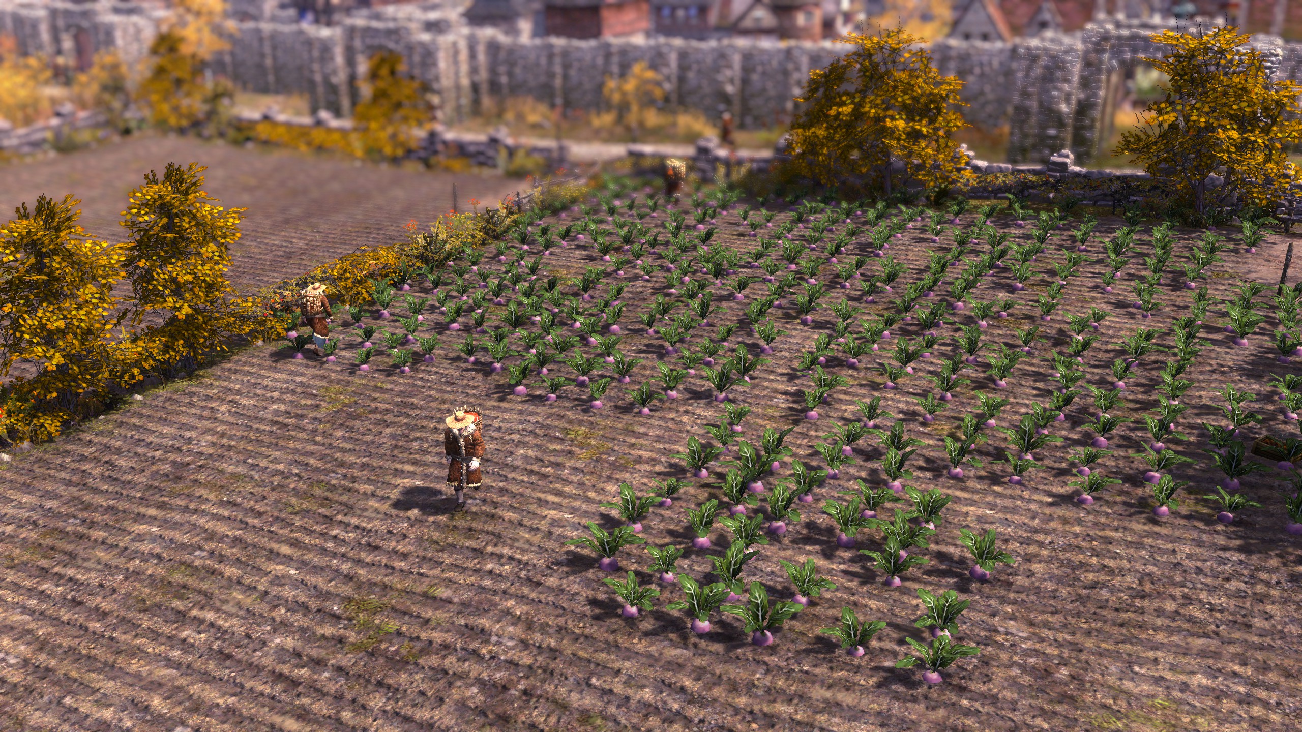 Farms