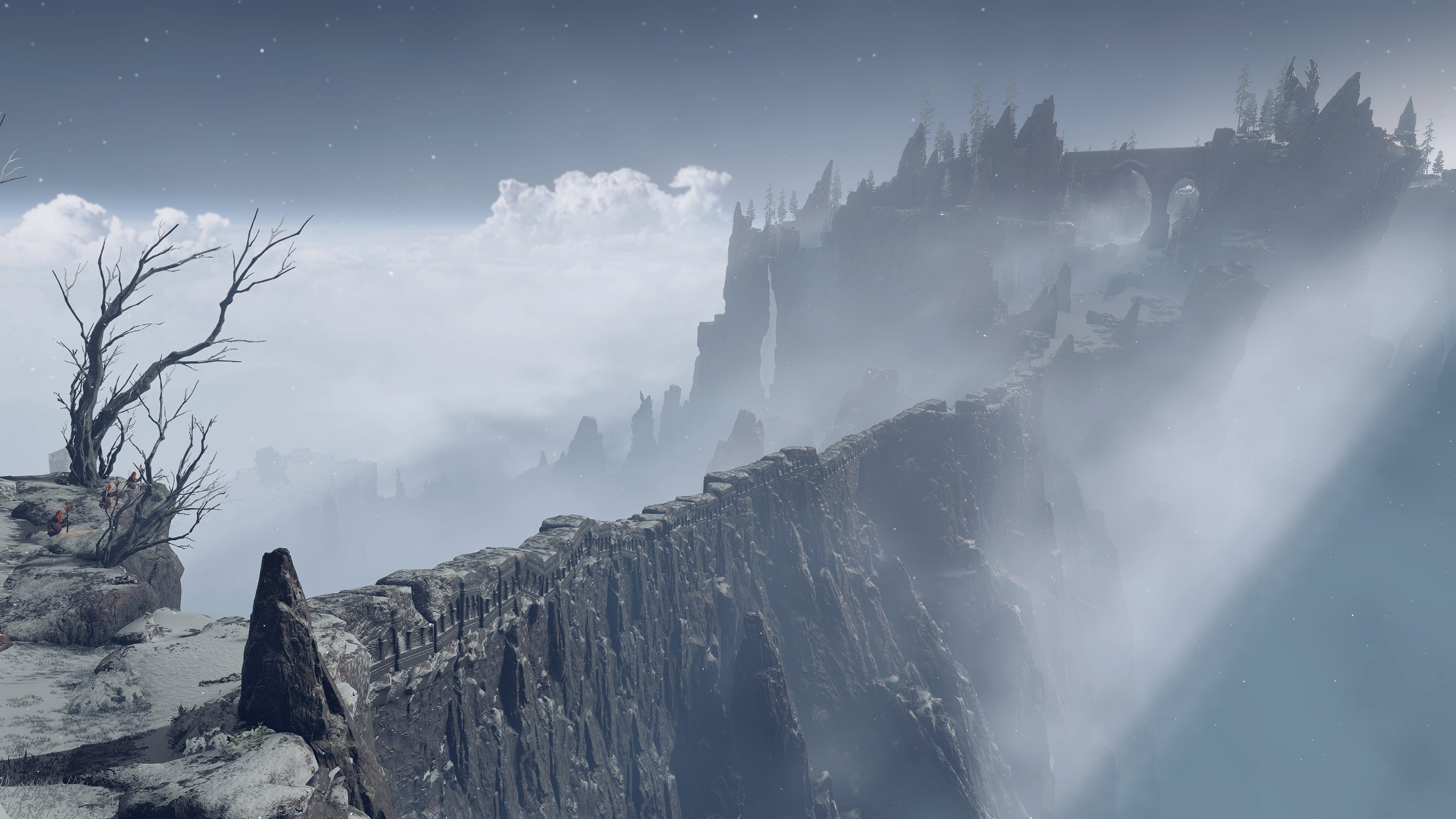 Elden Ring environment screenshot