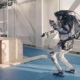 Babe, wake up. A new Boston Dynamics video just landed