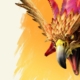 The head of a gigantic bird with colorful plumage