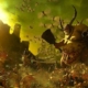 Forces of Nurgle in Total War: Warhammer 3