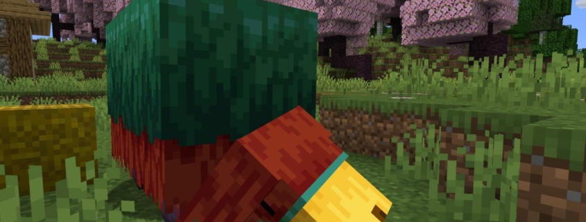 Minecraft 1.20 - a sniffer sticks its large yellow snout into the ground with cherry blossom trees in the background