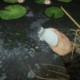 Sons of the Forest - a player holds a water flask and fills it in a pond