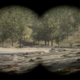 Sons of the Forest binoculars location - a view of trees near a beach, seen through binoculars