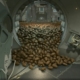 Starfield, a ship airlock door is open, thousands of brown russet potatoes fall out into the hallway