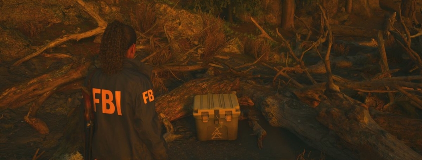 Alan Wake 2 cult stashes - Saga is looking at a plastic crate on the beach