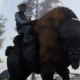 A person riding a buffalo