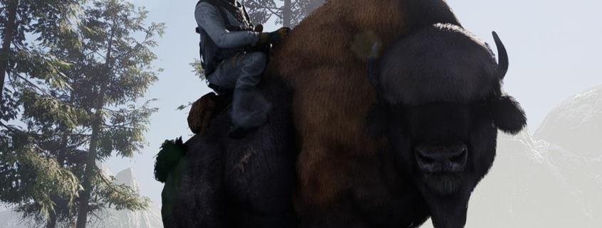 A person riding a buffalo