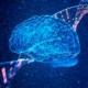 A creative illustration of a binary human brain and genomic DNA on a dark blue particle background