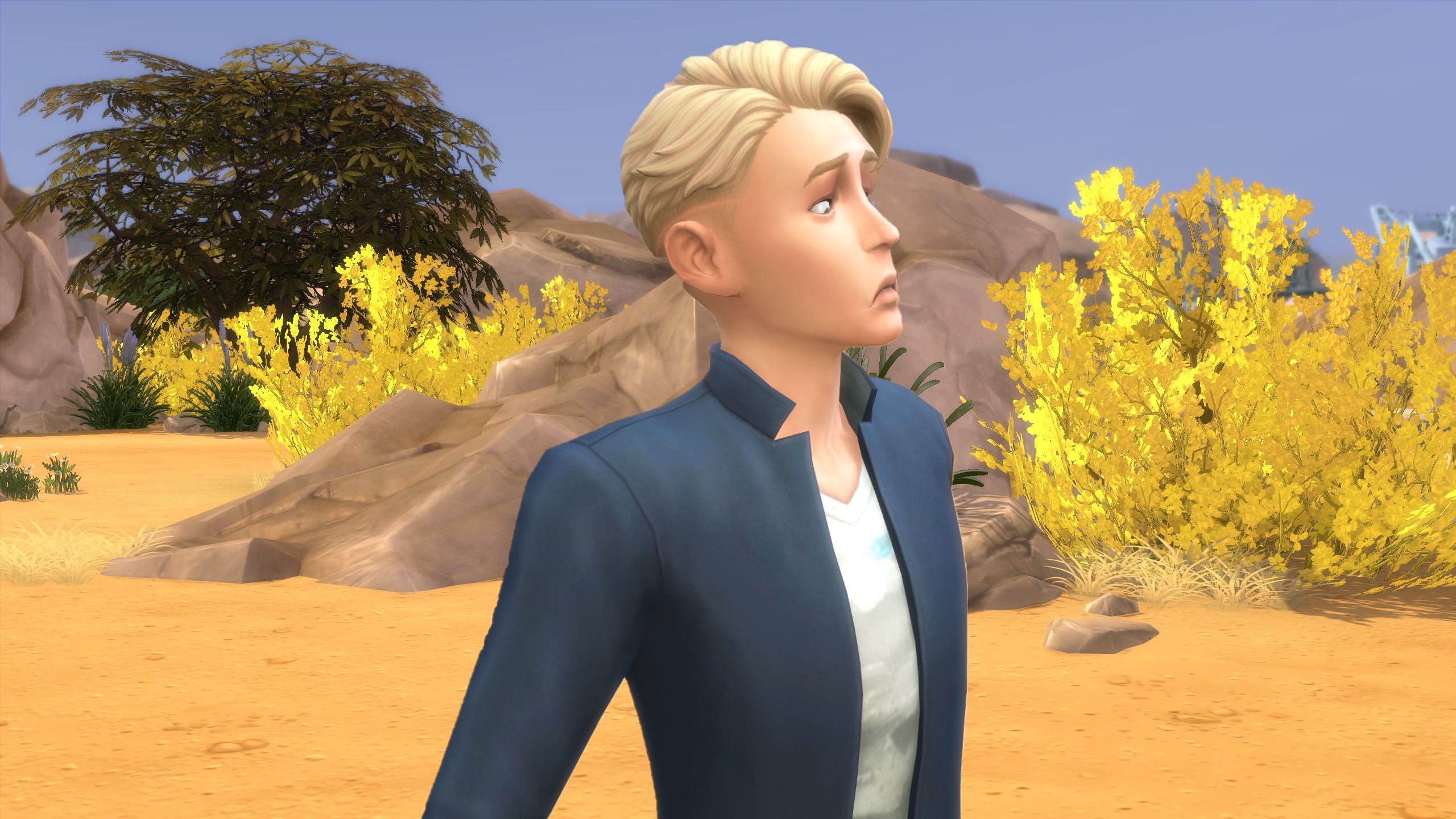 The Sims 4 - A sim looks digused