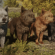 Soulframe shows off a new teaser trailer and a cool giant wolf to hang out with