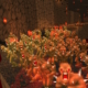 The very first wave of enemies in Okuplok's Slaughter Map for Doom