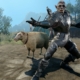 Half Orc Knight posing next to sheep Harvard Willoughby in Baldur's Gate 3